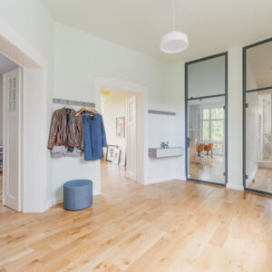 Altbauwohnung V