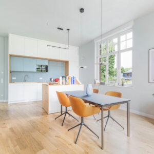 Altbauwohnung V