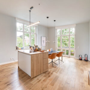 Altbauwohnung V